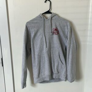 A soft grey hoodie size SMALL from a night lights event